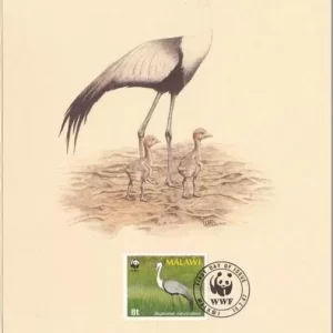 Malawi 1987 World Wildlife Fund / Birds Wattled Crane FD Card