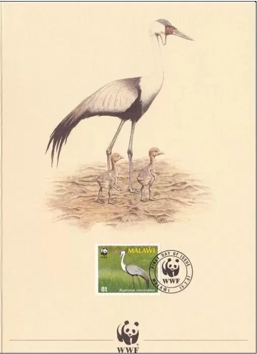 Malawi 1987 World Wildlife Fund / Birds Wattled Crane FD Card