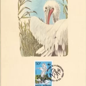 Romania 1984 WWF Birds / Dalmatian Pelican FD Card stamps