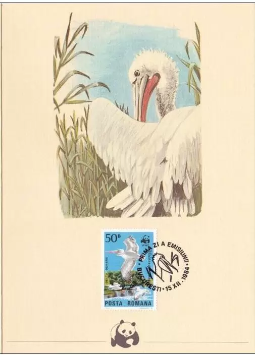 Romania 1984 WWF Birds / Dalmatian Pelican FD Card stamps