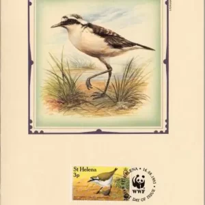 Saint Helena 1993 World Wildlife Fund / Birds Wirebird FD Card