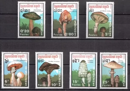 Cambodia 1989 Flora Mushrooms set MNH postage stamps