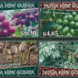 Papua New Guinea 2010 Flora - coffee cherries set