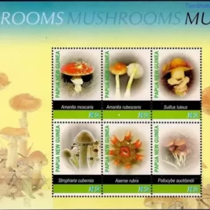 Papua New Guinea 2005 Flora - Mushrooms MSS