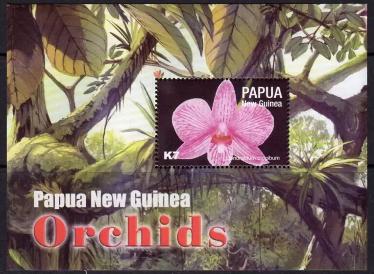 Papua New Guinea year 2004 stamps Flowers Orchids of Papua New Guinea MSS