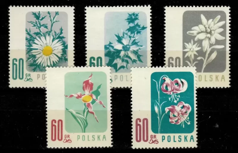 Poland 1957 stamps Flora / full set Flowers MNH