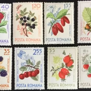 Romania 1964 stamps Forest fruits full set MNH