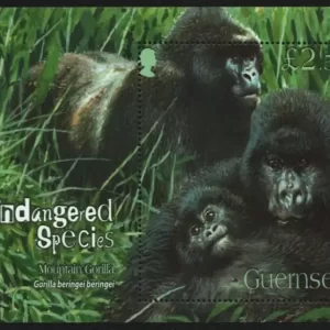 Guernsey year 2007 Gorillas - Fauna Monkeys stamps