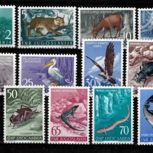 Yugoslavia year 1954 Fauna complete set MNH