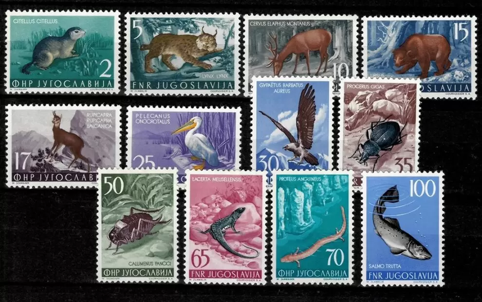 Yugoslavia year 1954 Fauna complete set MNH