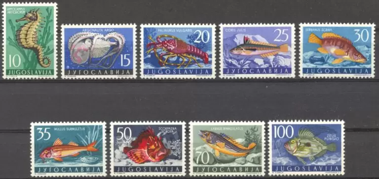 Yugoslavia year 1956 Adriatic Sea Animals Fishes stamps set