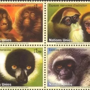 United Nations Geneva year 2007 Fauna Monkeys stamps set