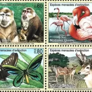 United Nations Geneva year 1998 Fauna Endangered Species