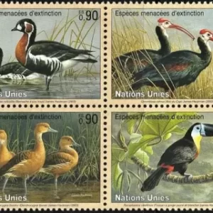 United Nations Geneva year 2007 Fauna Endangered Birds stamps set