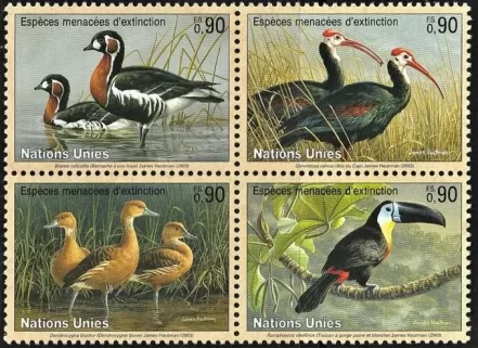 United Nations Geneva year 2007 Fauna Endangered Birds stamps set