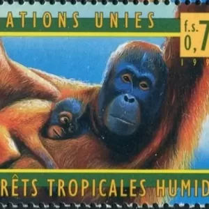 United Nations Geneva stamps 1998 Monkeys - Rainforest Preservation