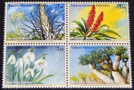 United Nations Geneva stamps year 2010 Flora Endangered Plants