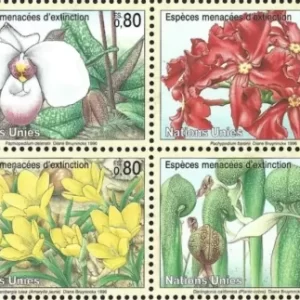 United Nations Geneva stamps year 1996 Flowers Endangered Plants