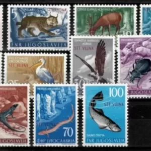 Trieste B year 1954 STT – Vujna Fauna MH stamps set