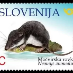 Slovenia stamp year 2018 Fauna Mediterranean water shrew Neomys anomalus