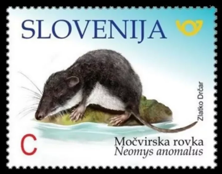 Slovenia stamp year 2018 Fauna Mediterranean water shrew Neomys anomalus