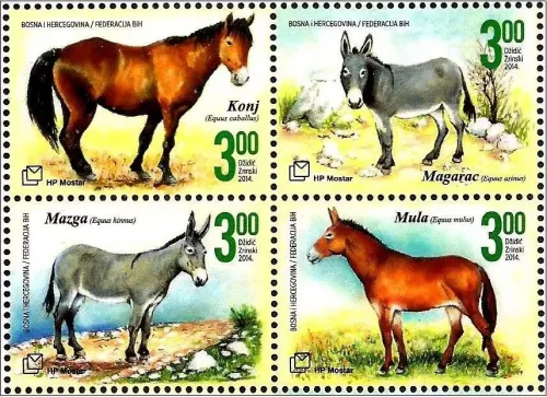 Bosnia postage stamps year 2014 Fauna Horses Donkey, Mule and Mullah