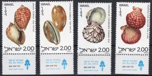 Israel postage stamps year 1977 Red Sea Shells set