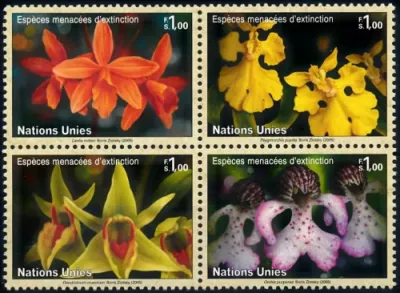 United Nations Geneva stamps year 2005 Orchids Flowers