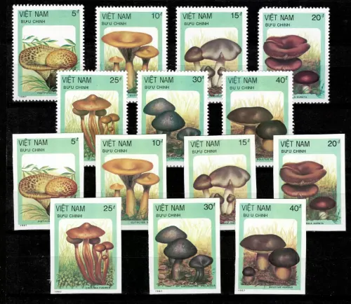 Vietnam postage stamps year 1987 Mushroom set