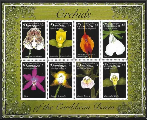 Dominica postage stamps year 1999 Orchids of the Caribbean