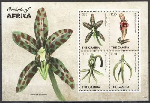 Gambia postage stamps year 2011 Flowers -Orchids of Africa