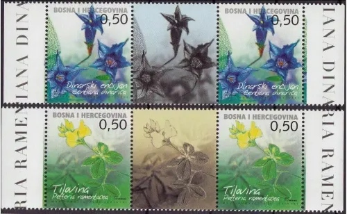 Bosnia Mostar stamps year 2005 Native flora set