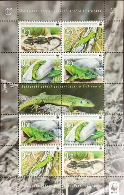 Bosnia - Mostar postage stamps year 2010 Fauna - Green Lizard
