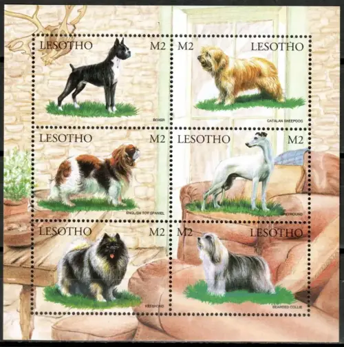 Lesotho postage stamps year 1999 Fauna dogs set