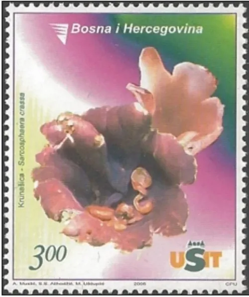 Bosnia - Sarajevo postage stamp 2006 Flora - Mushroom