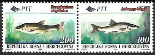 Bosnia Sarajevo postage stamps year 1995 Fauna - Edible fishes
