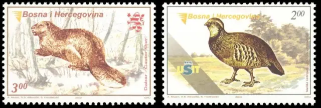 Bosnia - Sarajevo postage stamps year 2005 Fauna - Birds and Rodents