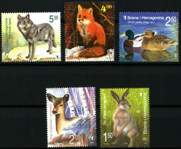 Bosnia - Sarajevo postage stamps year 2006 Fauna - animals of Bosnia