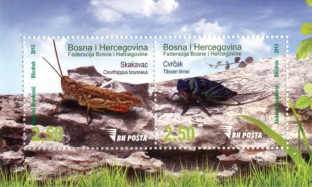 Bosnia - Sarajevo stamps year 2013 Fauna - Insects