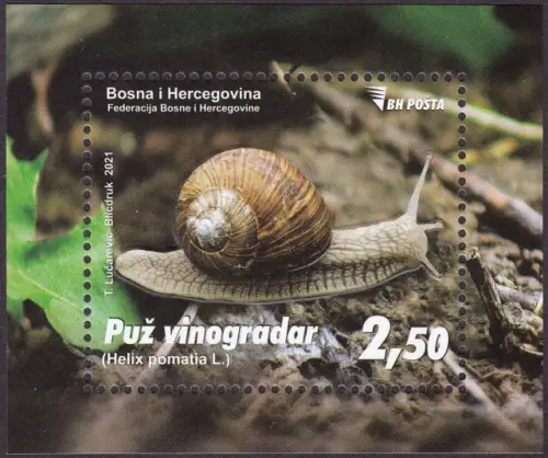 Bosnia postage stamps year 2021 Fauna Snail Helix pomatia MSS