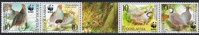 Yugoslavia Serbia stamps year 2000 Fauna - Birds - World Wildlife Fund