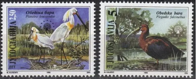 Yugoslavia postage stamps year 1996 Birds - Nature protection