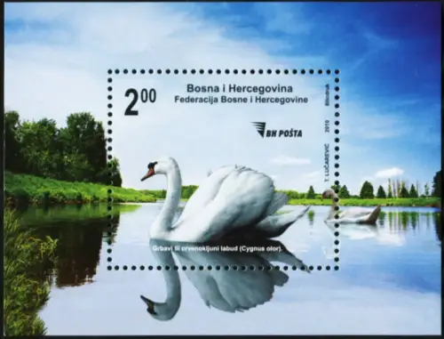 Bosnia Herzegovina stamp year 2010 Swan Bird