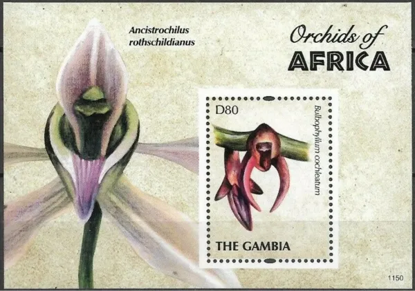 Gambia postage stamps year 2011 Flowers -Orchids