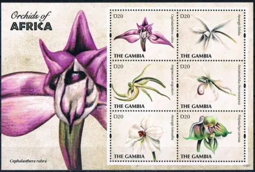 Gambia postage stamps year 2011 Flowers