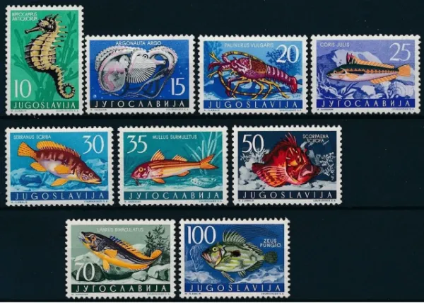 Yugoslavia postage stamps year 1956 Fauna - Sea Life set