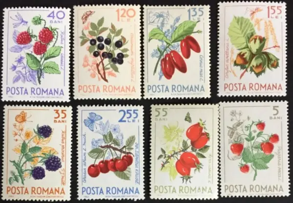 Romania year 1964 stamps Forest fruits set MNH
