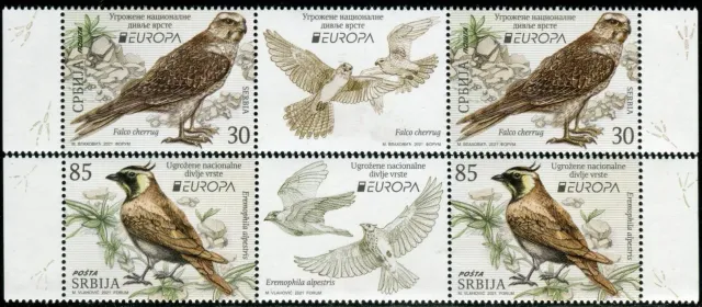 Serbia year 2021 EUROPA Stamps - Birds - Endangered National Wildlife