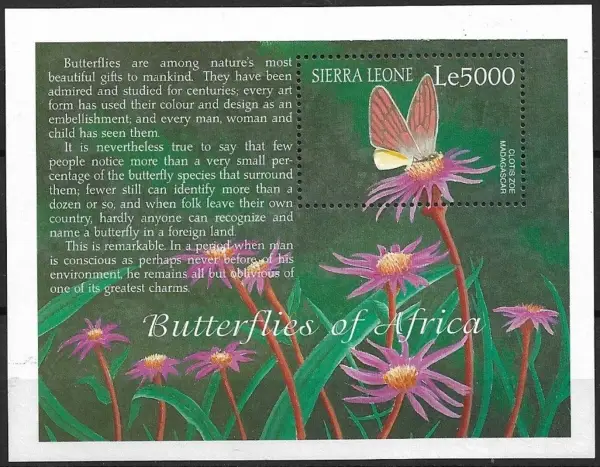 Sierra Leone year 2001 stamps African Butterflies - Acraea ranavalona