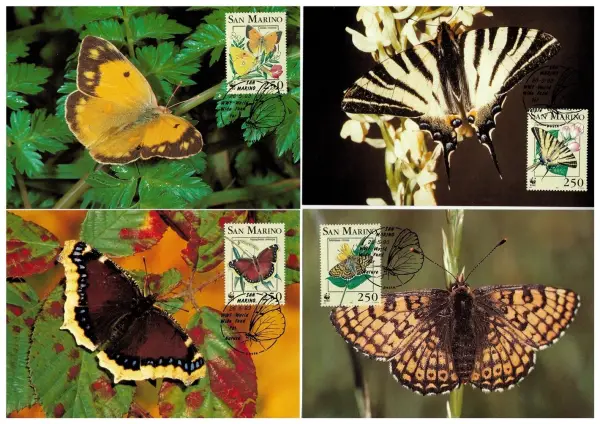 San Marino year 1993 WWF Fauna / Butterfly stamps - Max cards